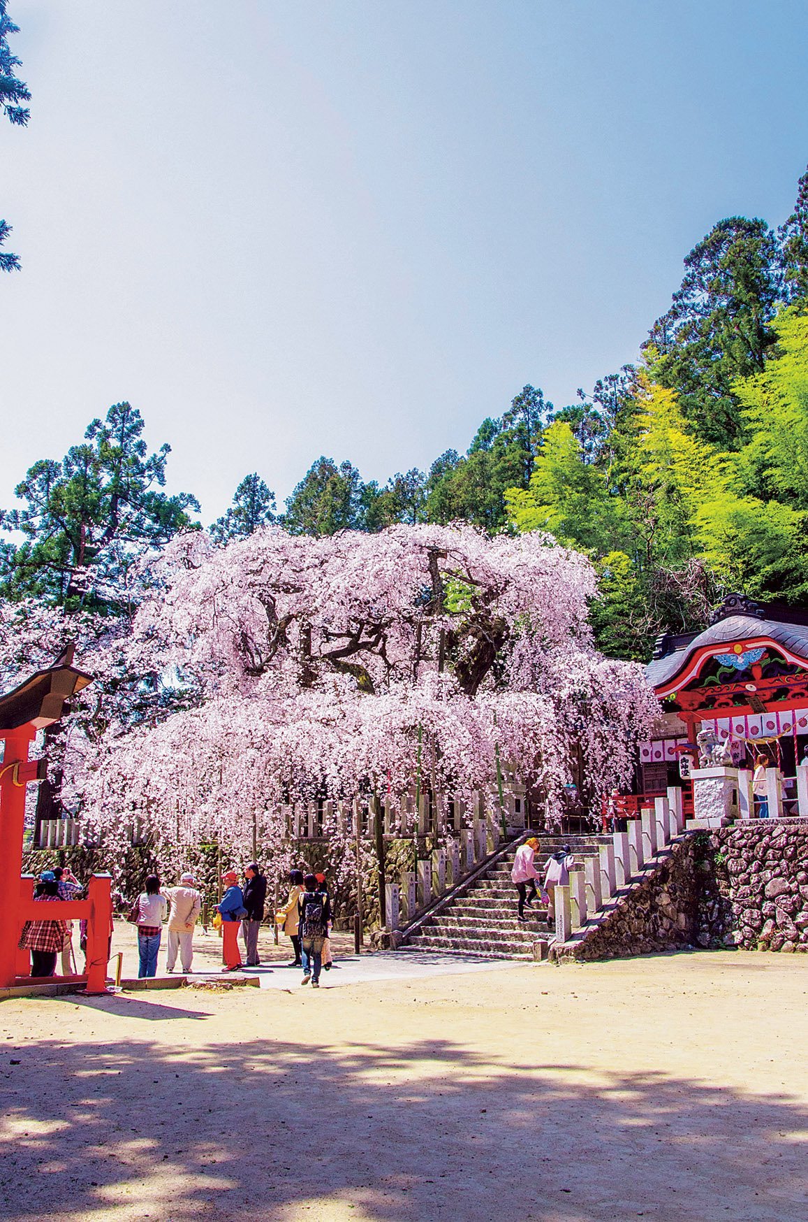 ⛩️ 스와 신사(오가와 스와 진자) 이미지 3